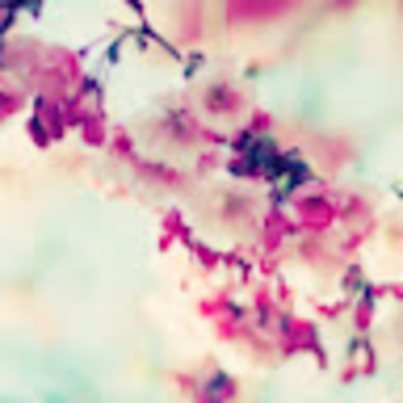 Meet your Posher, Paiton - Picture 1 of 1